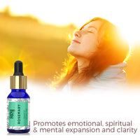 Rey Naturals Pure Lavender Essential Oil & Rosemary Oil For Hair Growth, Aromapathy, Stress & Pain Relief | Essential Oil For Hair, Face & Skin | Suitable For Diffuser | For Men And Women - 15 * 3