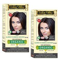 INDUS VALLEY 100% Certified Organic Hair Colour (Soft Black) - (120g*2=240g)