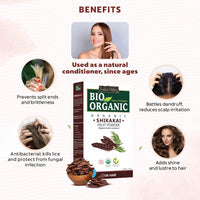 INDUS VALLEY Organic Shikakai Powder for Frizzy, Soft & Shiny Hair | Acacia Concinna For Hair Care | Strengthening, Nourish, Conditioner & Cleanser - (100G), 1 Count