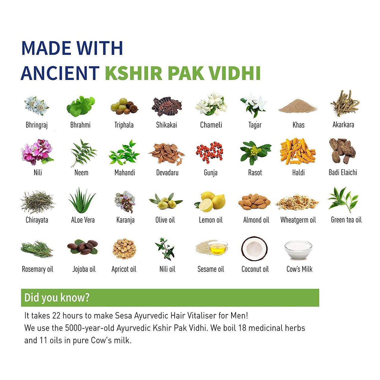 SESA Hair Vitalizer For Men 100Ml - Hair Growth Oil, Reduces Hair Fall, Nourishing Hair Oil For Men