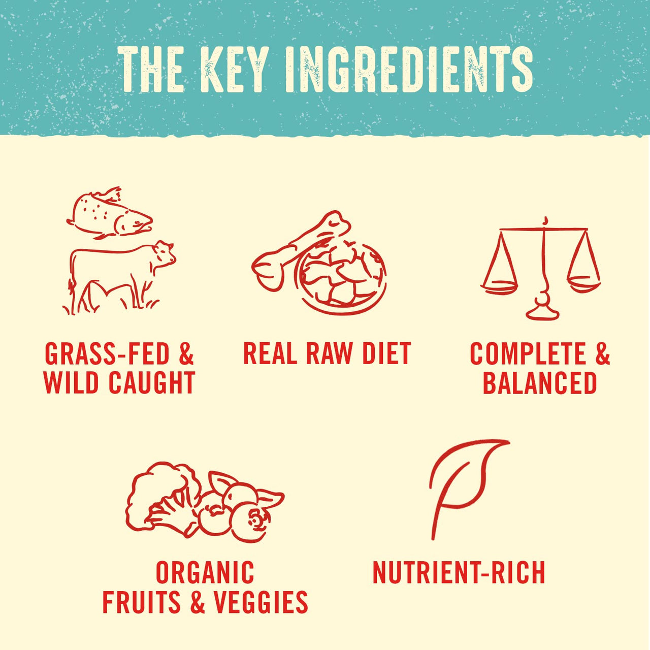 Stella & Chewy's  Freeze Dried Raw Dinner Patties – Crafted for Puppies – Grain Free, Protein Rich Perfectly Puppy Beef & Salmon Recipe – 14 oz Bag 14 Ounce (Pack of 1)