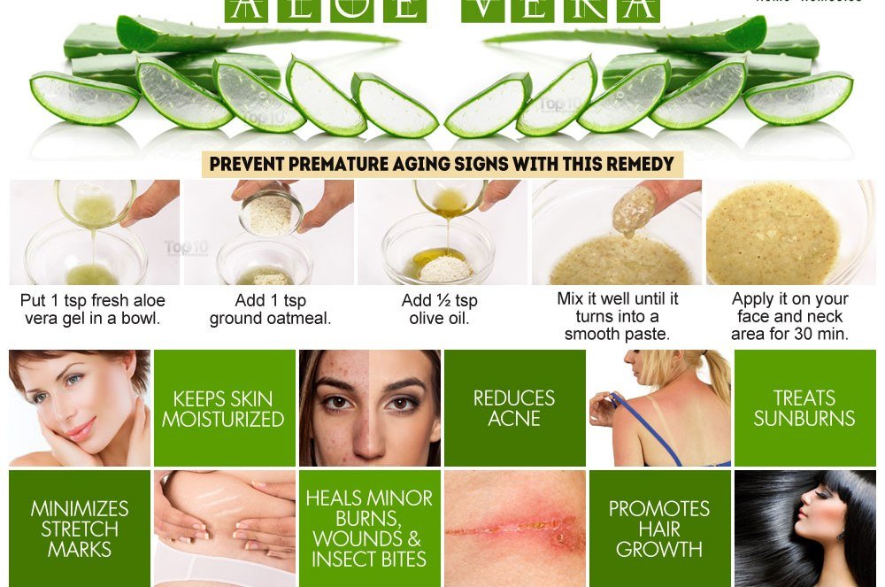 KAZIMA Combo of Aloe Vera Gel 1Kg & Tea Tree Essential Oil 15ml - 100% Pure & Natural for Skin, Face, Acne Scars, Hair, Moisturizer & Dark Circles (Combo of 2)