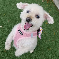 Voyager Step-in Air Dog Harness - All Weather Mesh Step in Vest Harness for Small and Medium Dogs and Cats by Best Pet Supplies - Harness (Pink), S (Chest: 14.5-16