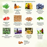 INDUS VALLEY Bio Organic Sun Guard Aloe Vera Gel With Lemon & Orange For Ultimate Refreshing Feel (175ml)