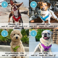 Gooby Escape Free Memory Foam Harness - Green, Large - No Pull Step-in Small Dog Harness with Four Point Adjustment - Perfect on The Go Dog Harness for Medium Dogs No Pull and Small Dogs Large Chest (16.5~24.25