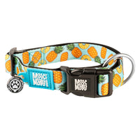 Max & Molly Soft Padded Neoprene Dog Collar w/Smart ID Gotcha! QR Pet Safety Tag, Durable, Waterproof, Anti-Stink, Machine Washable Collar for Dogs, Sweet Pineapples Pattern, L Sweet Pineapple L (15-25