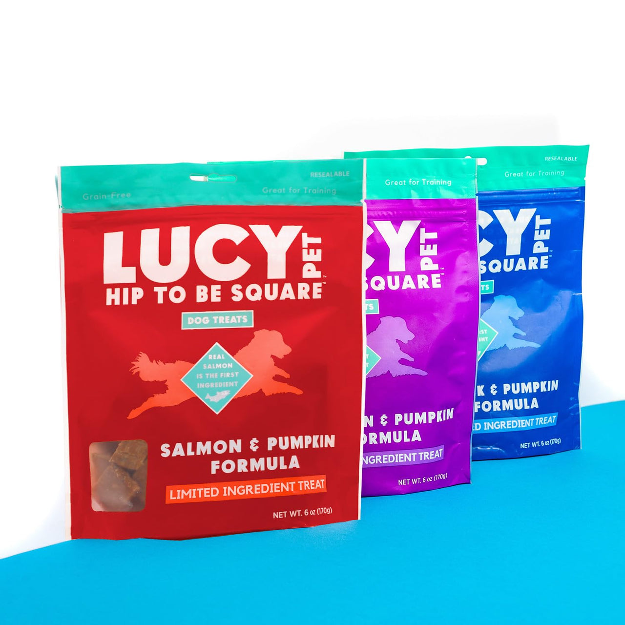 Lucy Pet Hip To Be Square Salmon And Pumpkin Dog Treats 6Oz 6 Ounce (Pack of 1)