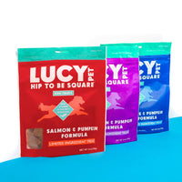 Lucy Pet Hip To Be Square Salmon And Pumpkin Dog Treats 6Oz 6 Ounce (Pack of 1)
