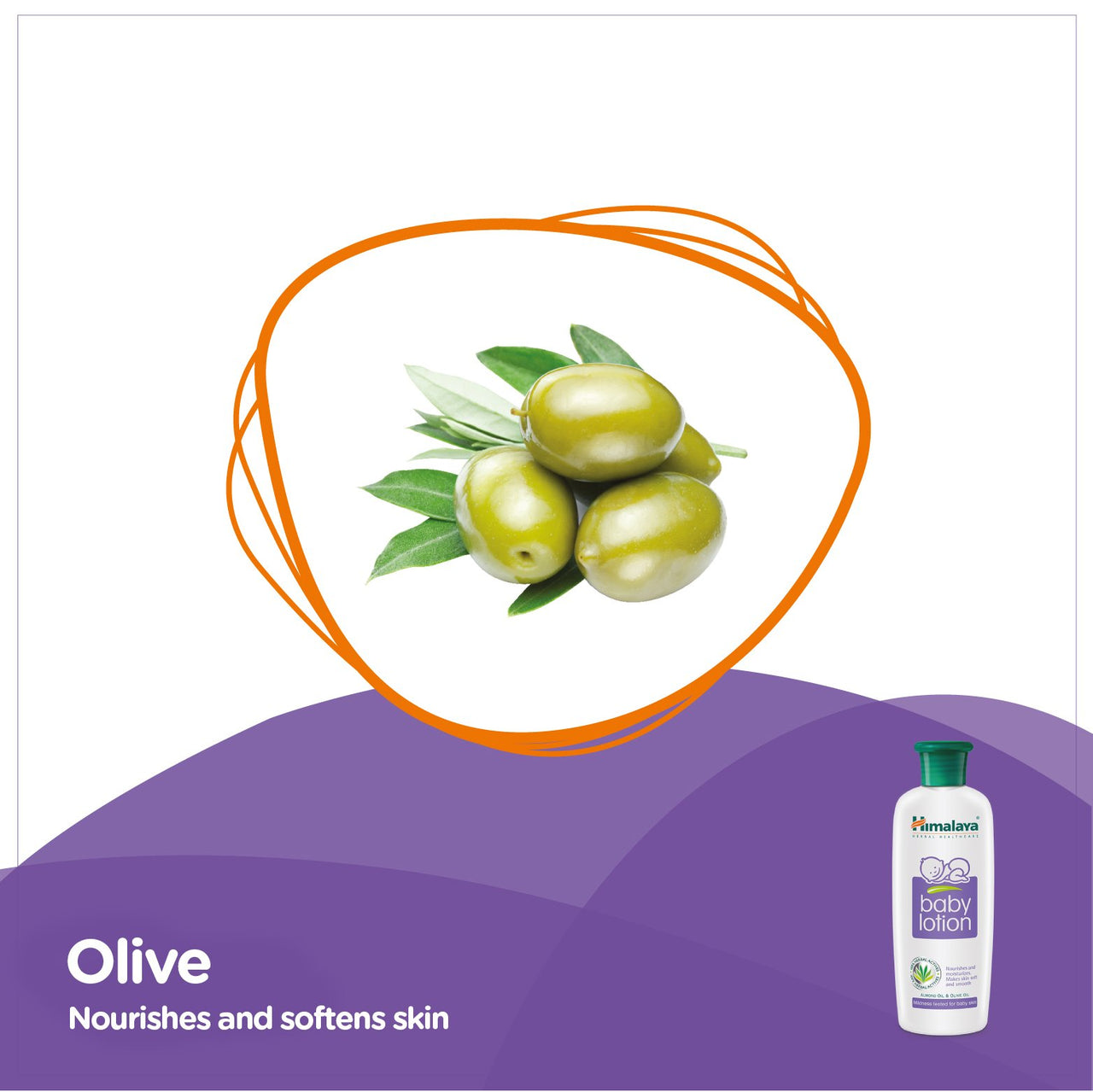 Himalaya Baby Shampoo (400 ml) and Herbals Lotion (400ml) Combo