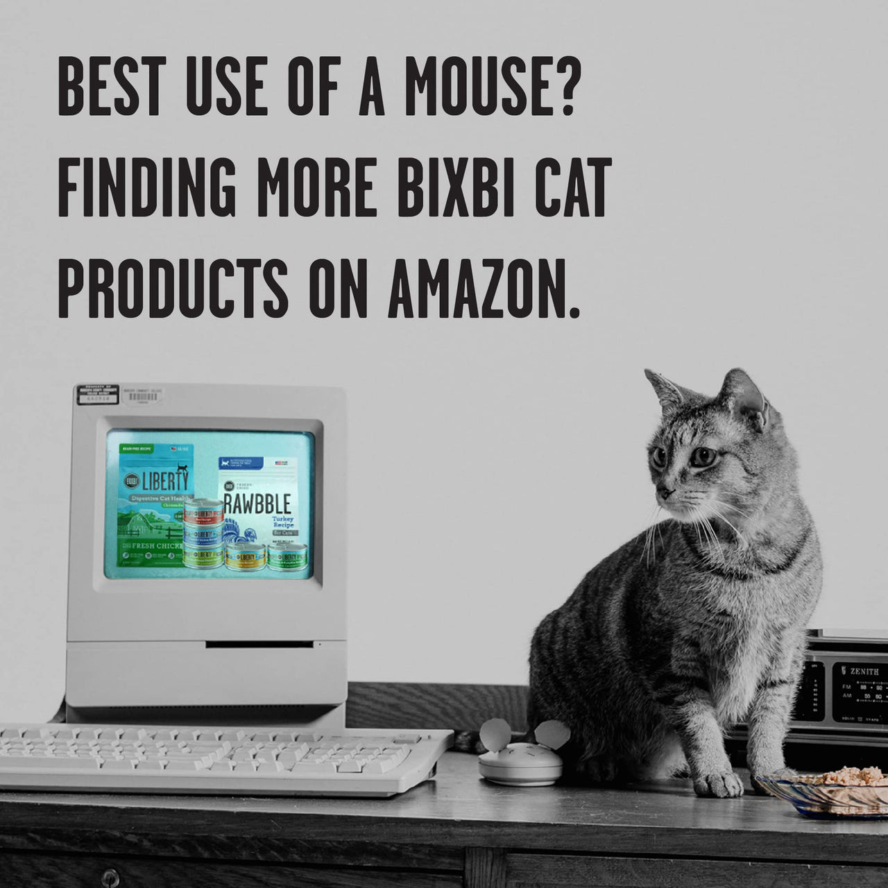 BIXBI Rawbble Freeze Dried Cat Food, Chicken Recipe, 10 oz - 95% Meat and Organs, No Fillers - Pantry-Friendly Raw Cat Food for Meal, Treat or Food Topper - USA Made in Small Batches