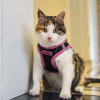 Voyager Step-in Air Dog Harness - All Weather Mesh Step in Vest Harness for Small and Medium Dogs by Best Pet Supplies - Pink Trim, S Harness (Black/Pink Trim) S (Chest: 14.5 - 16