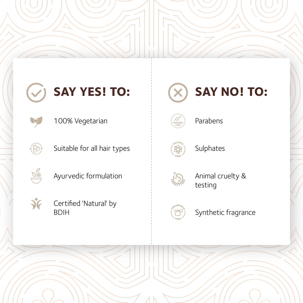 SoulTree Hibiscus Shampoo with Honey & Aloe Vera - Prevents Dryness & Hair Breakage, Cleanses & Hydrates at the same time, SLS/SLES Free - All Hair Types, 250 ml