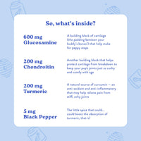 Bocce's  Bakery Hip & Joint Supplement for Dogs, Daily Chews Made in The USA with Glucosamine, MSM, and Chondroitin, Supports Healthy Joints, Peanut Butter & Honey, 60 ct
