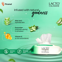 Lacto Calamine Daily Cleansing Facial Wipes 25N Each- Pack of 12 | Wet Wipes for Face with Aloe Vera, Cucumber & Vitamin E | Makeup Remover Wipes| Hydrating,Refreshing, Soothing|Paraben & Alcohol Free