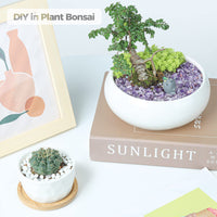 T4U Tumbled Chips Stones Crushed Crystal Quartz 1 LB, Irregular Shaped Gravels Pebbles Healing Stones, DIY Smoothed Rock for Potted Plant,Resin Art,Vase Fillers Aquarium Gravel Rocks (Amethyst) #1 - Amethyst