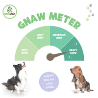 Nature Gnaws USA Beef Tendons for Dogs – Single Ingredient Natural Dental Chews - Long Lasting and Rawhide Free Dog Treats, 8.00 Ounce (Pack of 1)