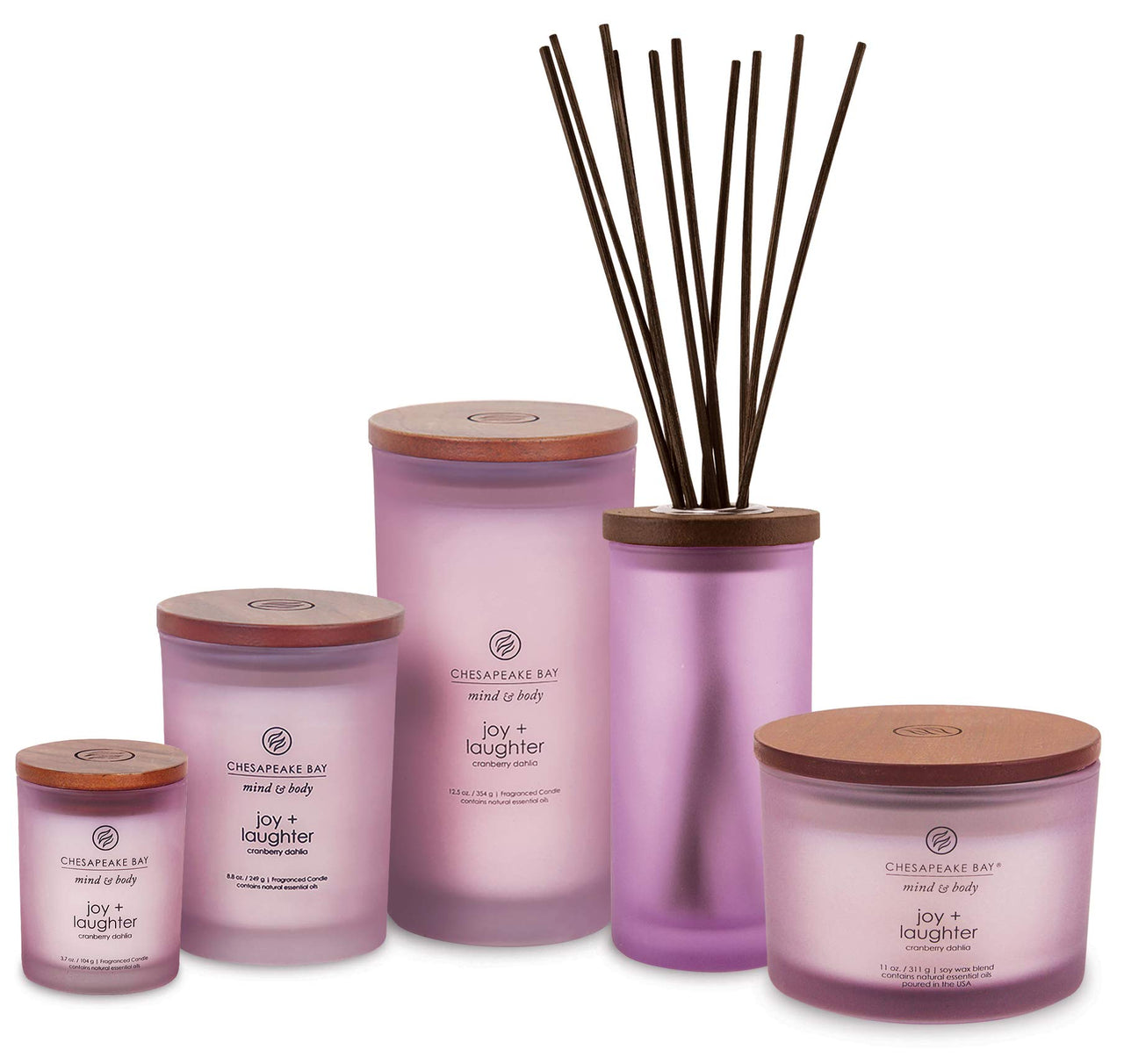 Chesapeake Bay Candle Scented Candle, Joy + Laughter (Cranberry Dahlia), Medium, Home Dcor