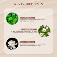 Just Herbs Kumuda Indian White Water Lily Conditioner For All Type Of Hair, 200 Ml (Parabens And Sls Free), 1 Count