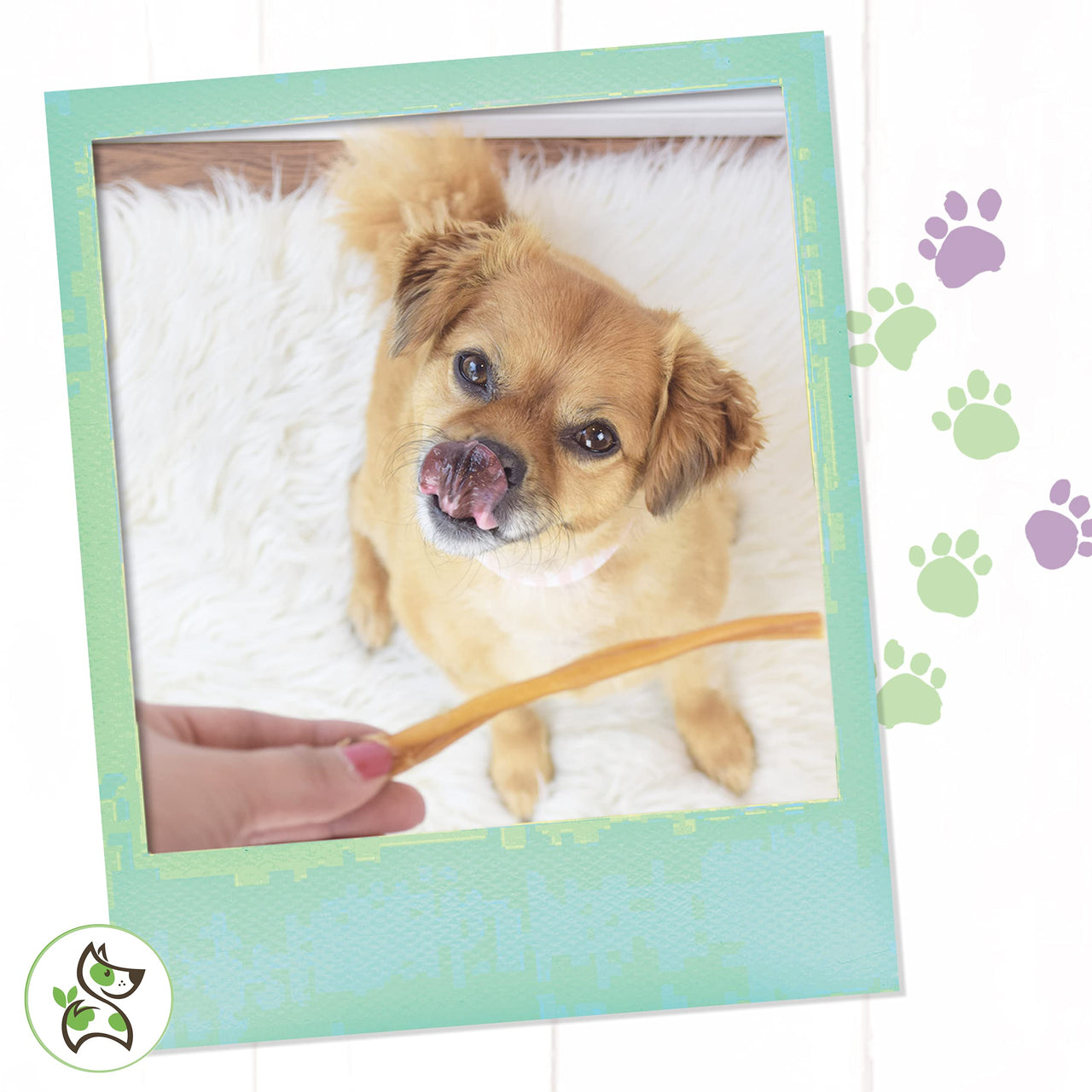 Nature Gnaws Super Skinny Bully Sticks for Small Dogs - Premium Natural Beef Dental Bones - Tasty Thin Dog Chew Treats for Toy Breeds & Puppies - Rawhide Free 15 Count (Pack of 1)