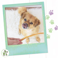 Nature Gnaws Super Skinny Bully Sticks for Small Dogs - Premium Natural Beef Dental Bones - Tasty Thin Dog Chew Treats for Toy Breeds & Puppies - Rawhide Free 15 Count (Pack of 1)