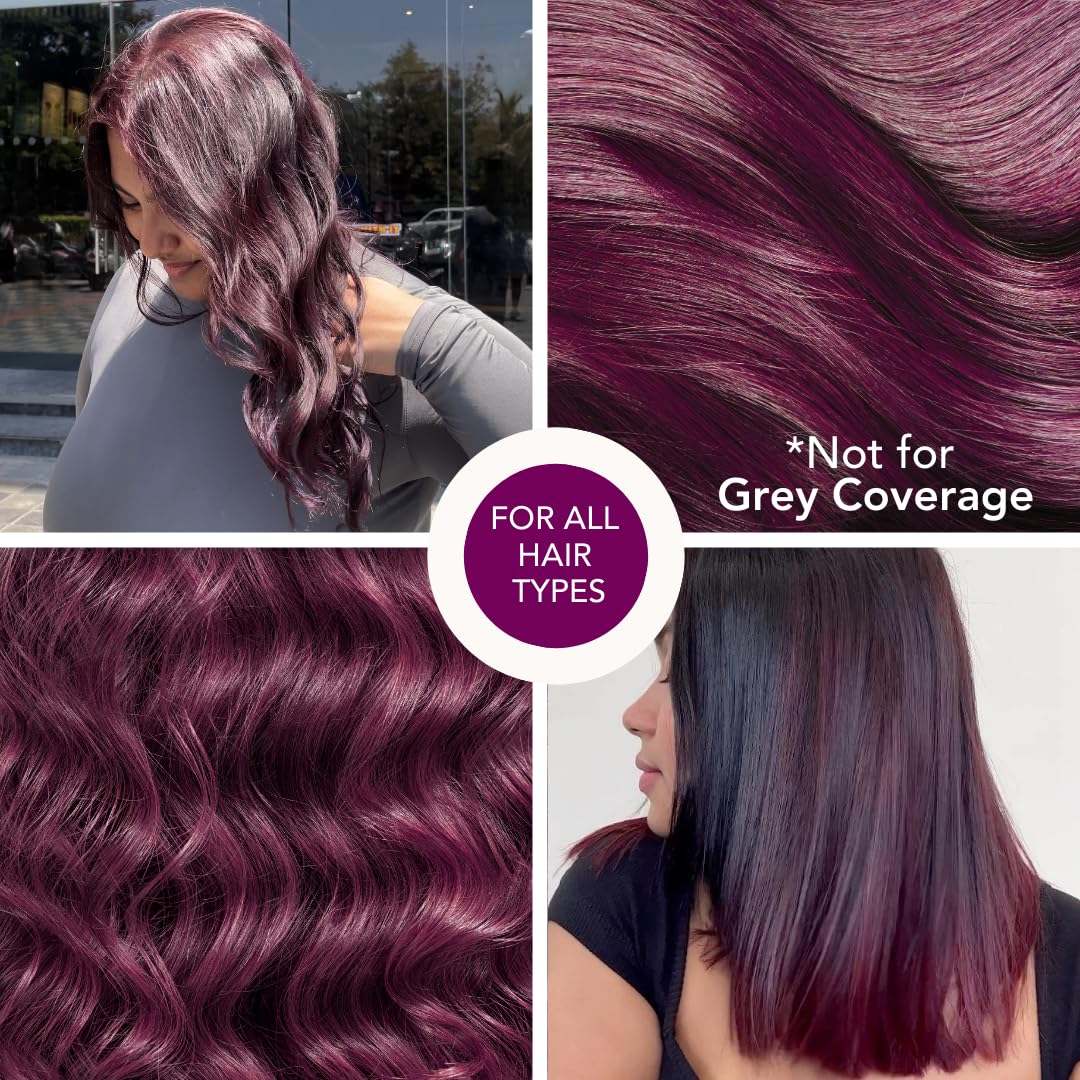 Paradyes No Bleach Berry Plum Glossy Hair Tint - Ammonia-Free for Natural Black Hair, Visible Results - Includes Anti-Fade Conditioner for Long-Lasting Shine, 1 Count