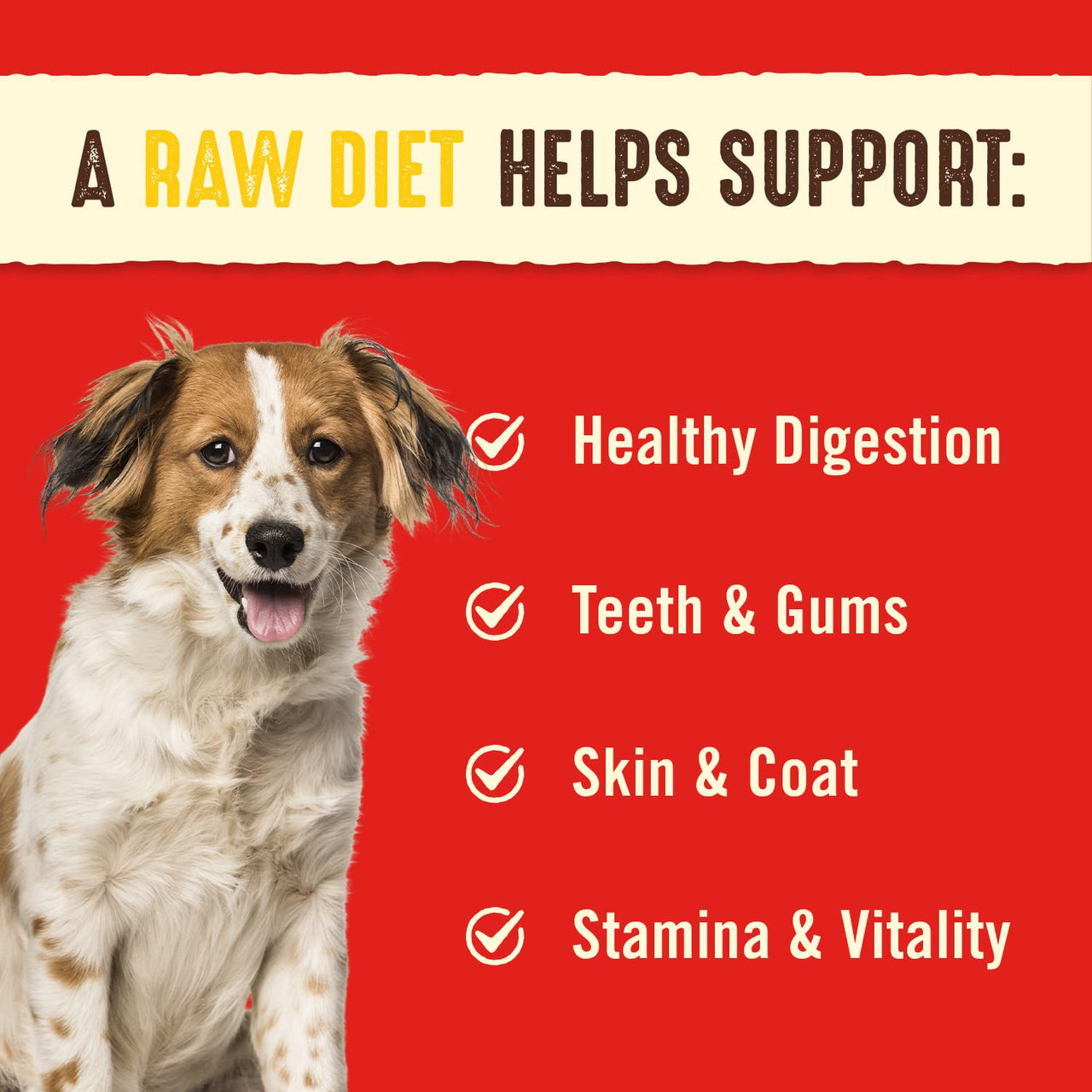 Stella & Chewy's  Freeze Dried Raw Dinner Patties  Grain Free Dog Food, Protein Rich Chewys Chicken Recipe  25 oz Bag