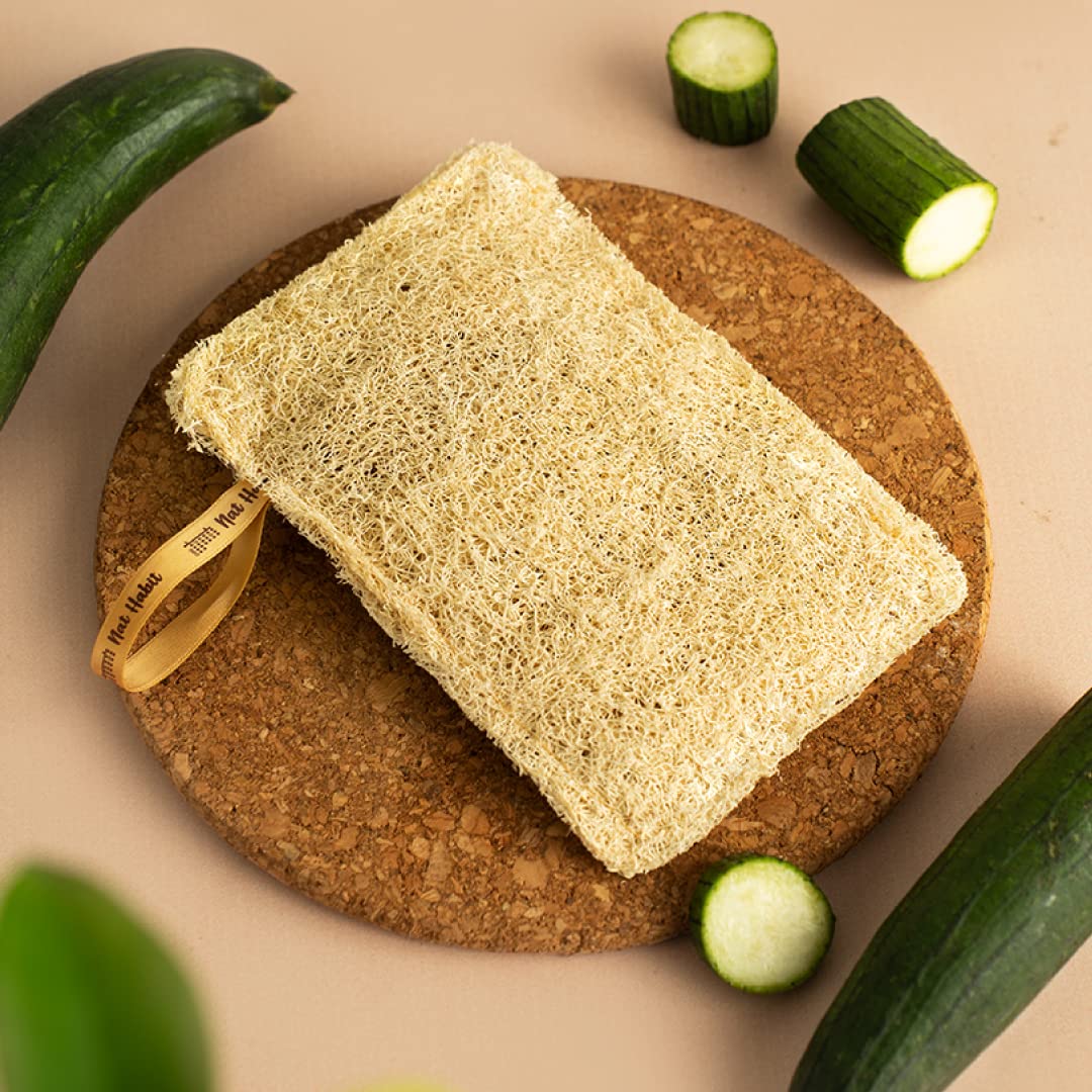 Nat Habit - Back To Natural Secrets Everyday Natural Sun Dried Bath Loofah | Body Sponge & Scrubber for Men & Women | Organic Luffa for Bath Shower Skin Exfoliation (Pack of 3)