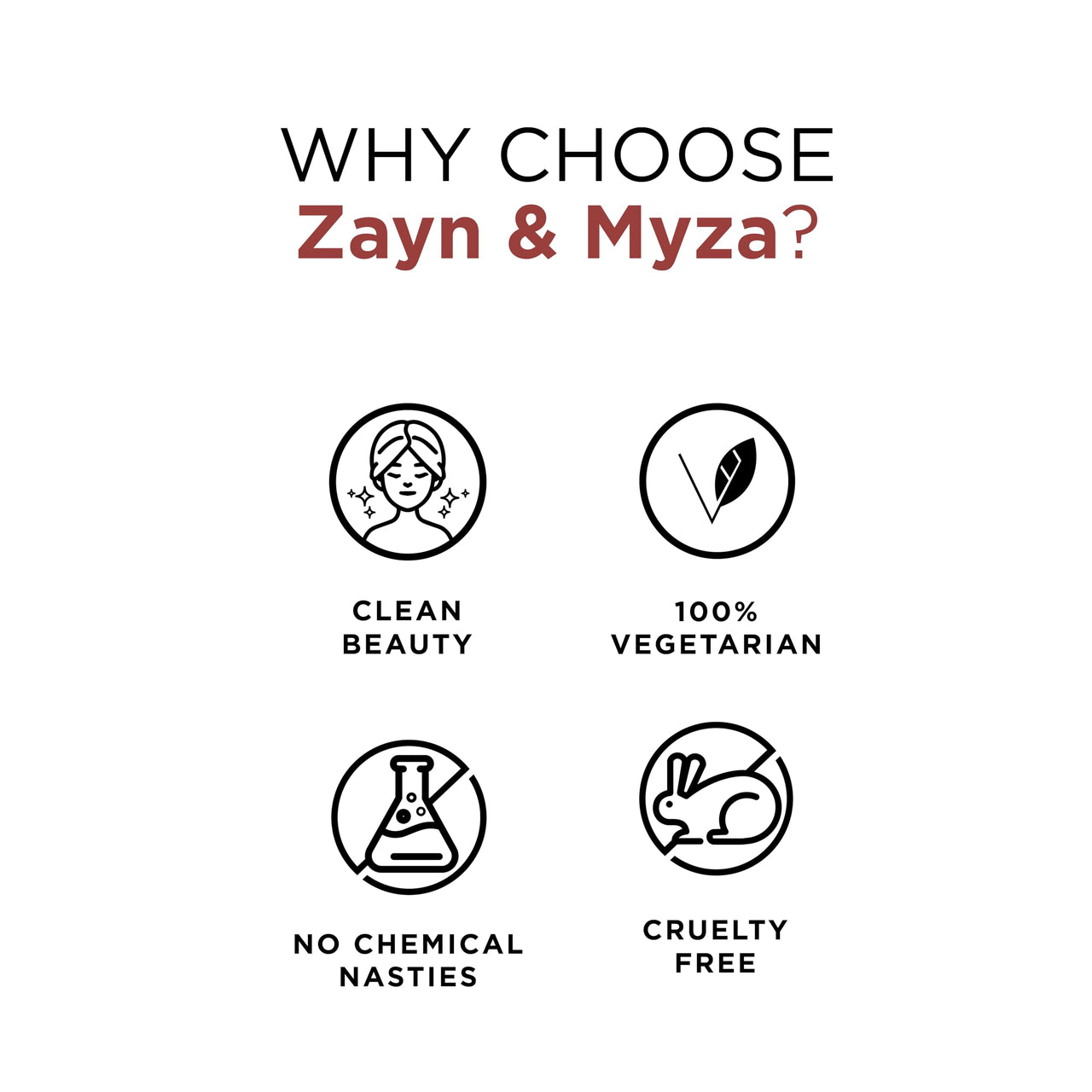 ZM Zayn & Myza Transfer-Proof Power Matte Finish, Liquid Lip Colour, 6 ml (Earthy Brown)