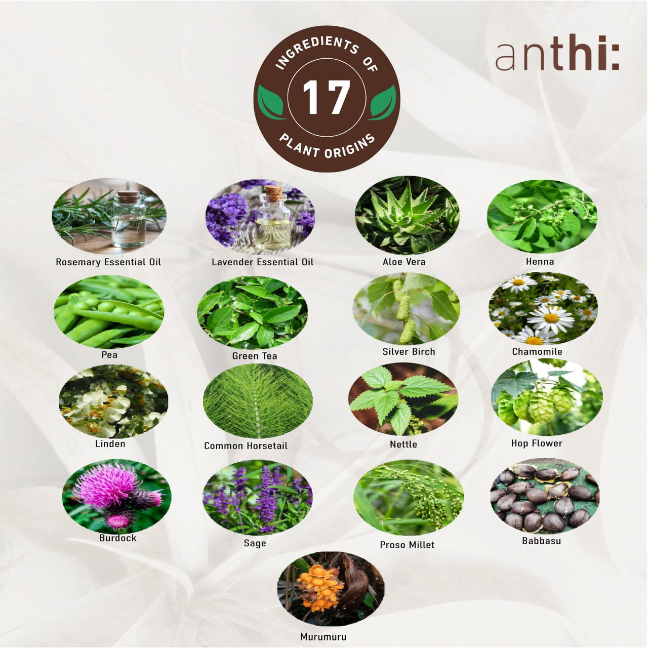 anthi: Anti-Hair Thinning Unscented Conditioner, Hair Thickening And Volume Boosting, Sulphate And Paraben Free, Plant-Origins Conditioner, 100 Ml,1 Count