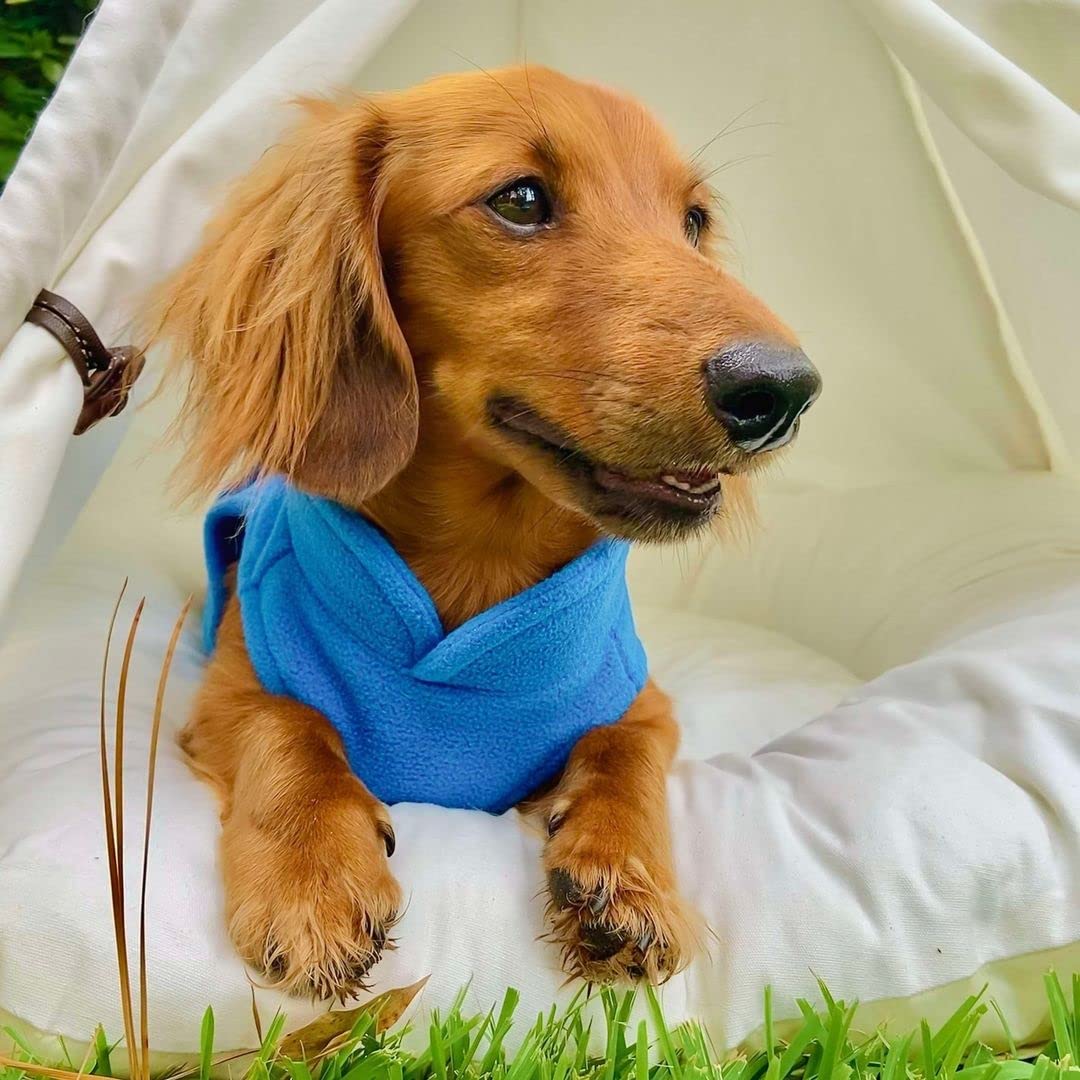 Gooby Fleece Vest Dog Sweater - Deep Blue, Small - Warm Pullover Fleece Dog Jacket with O-Ring Leash - Winter Small Dog Sweater Coat - Cold Weather Dog Clothes for Small Dogs Boy or Girl