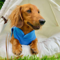 Gooby Fleece Vest Dog Sweater - Deep Blue, Small - Warm Pullover Fleece Dog Jacket with O-Ring Leash - Winter Small Dog Sweater Coat - Cold Weather Dog Clothes for Small Dogs Boy or Girl