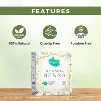 Vegetal Organic Henna Powder, 100% Natural, Chemical-Free, 100 gm, Pack of 2
