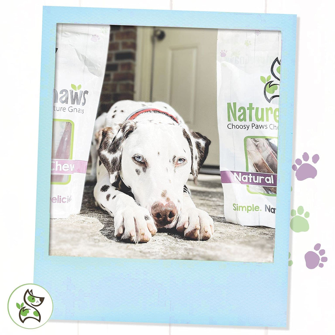 Nature Gnaws Variety Pack - Long Lasting Dog Chews for Dogs - Combo Pack of Bully Sticks, Beef Gullet and More - Dental Chews - Puppy Training Reward