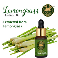 Old Tree Lemongrass Essential Oil (15ml) - for Skin, Hair Care, Insect Repellant, Home Fragrance and Aromatherapy - Pure and Natural Undiluted Oil with Glass Dropper