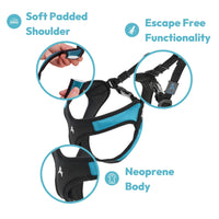 Gooby Escape Free Easy Fit Harness - Orange, Large - No Pull Step-in Patented Small Dog Harness with Quick Release Buckle - Perfect On The Go No Pull Harness for Small Dogs or Medium Dog Harness Large chest (20.25~24.75