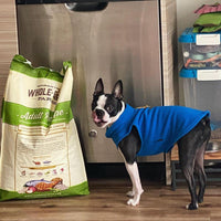 Gooby Fleece Vest Dog Sweater - Deep Blue, Small - Warm Pullover Fleece Dog Jacket with O-Ring Leash - Winter Small Dog Sweater Coat - Cold Weather Dog Clothes for Small Dogs Boy or Girl