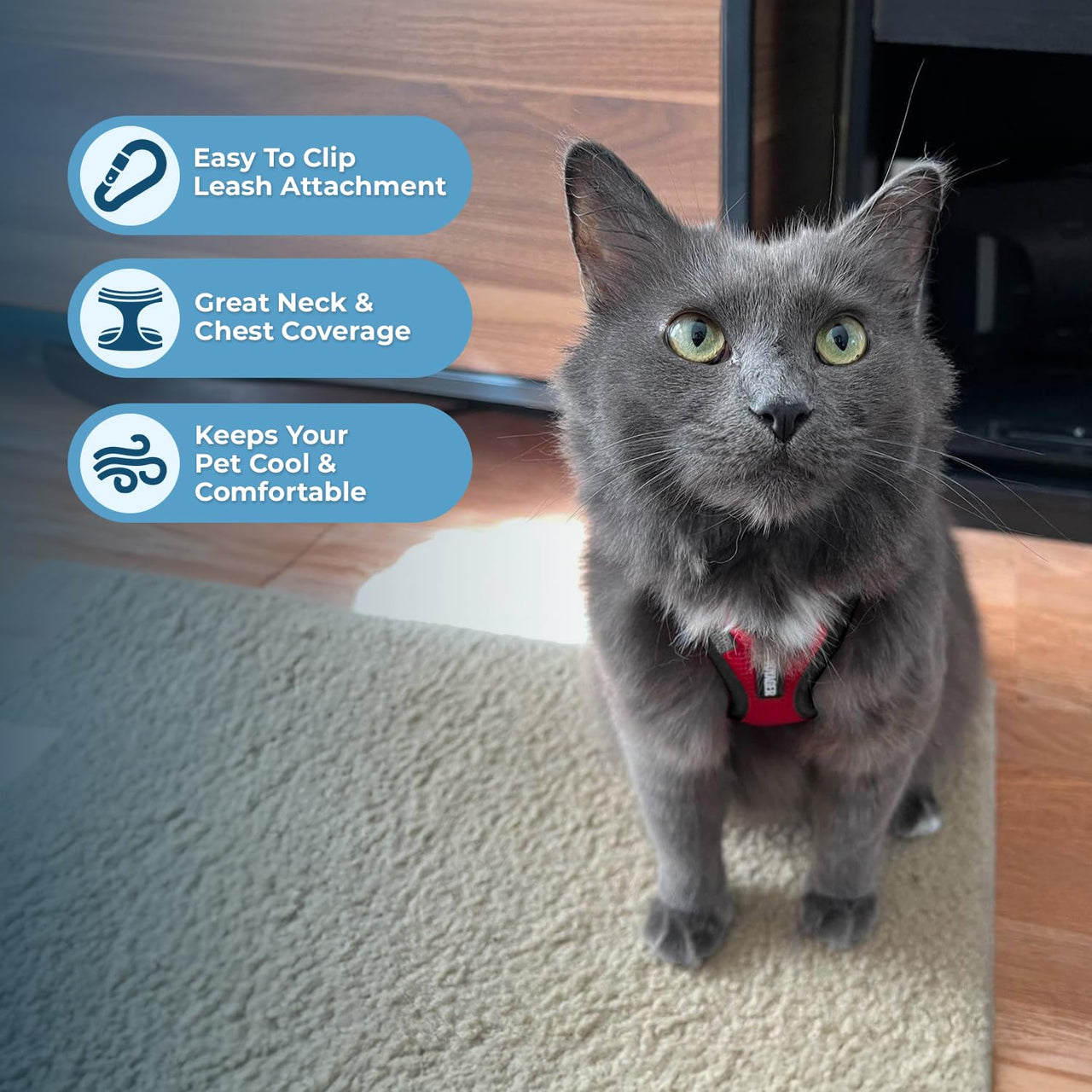 Voyager Step-in Lock Cat Harness w Reflective Cat Leash Combo Set with Neoprene Handle 5ft - Supports Small, Medium and Large Breed Cats by Best Pet Supplies - Red/Black Trim, XXS Harness Leash Set (Red/Black Trim) XXS (Chest: 11.5 - 14" * Fit Cats)