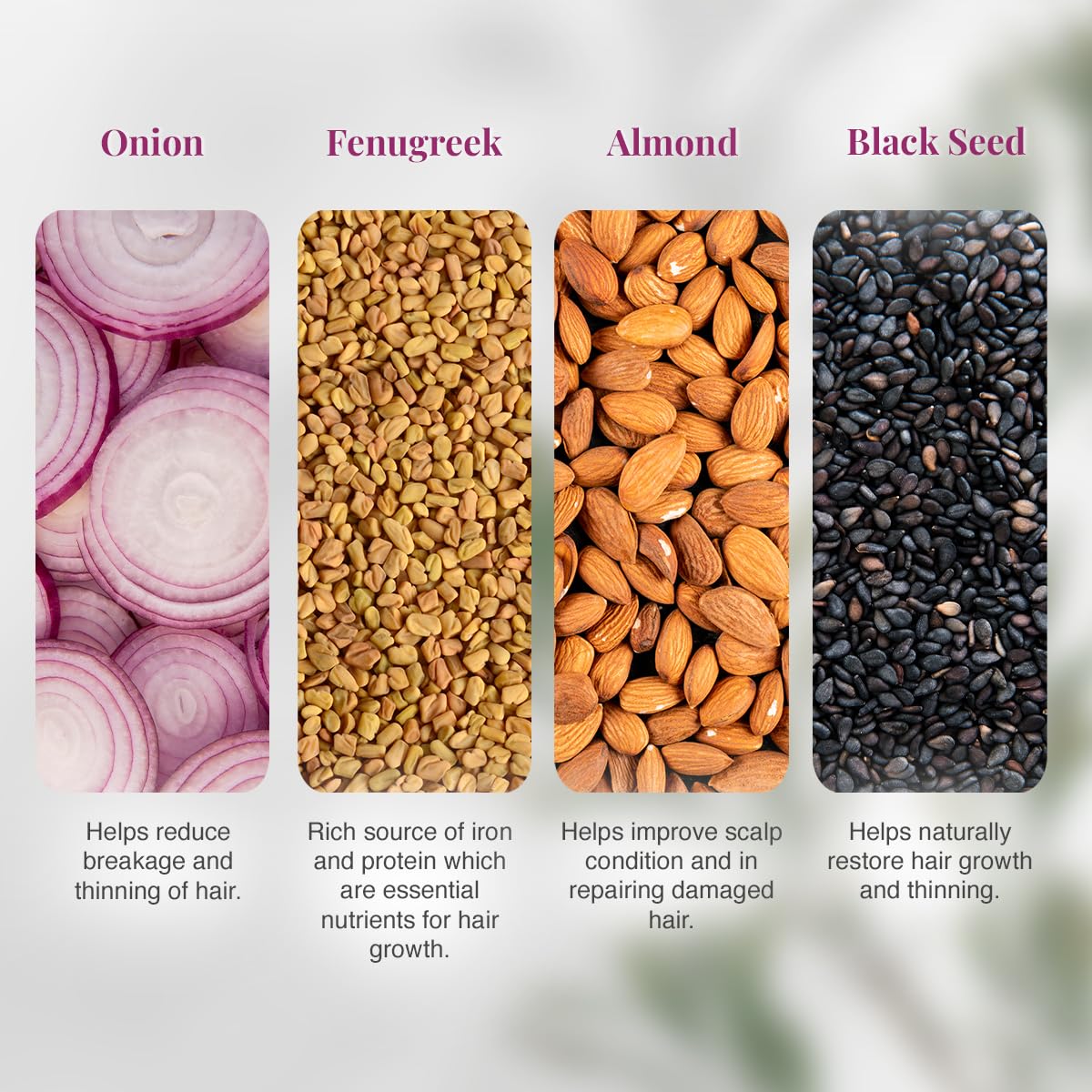 VLCC Onion & Fenugreek Hair Conditioner for Hair Fall - 200ml | Softens, Controls Breakage | Sulphate & Paraben Free | With Almond & Black Seed