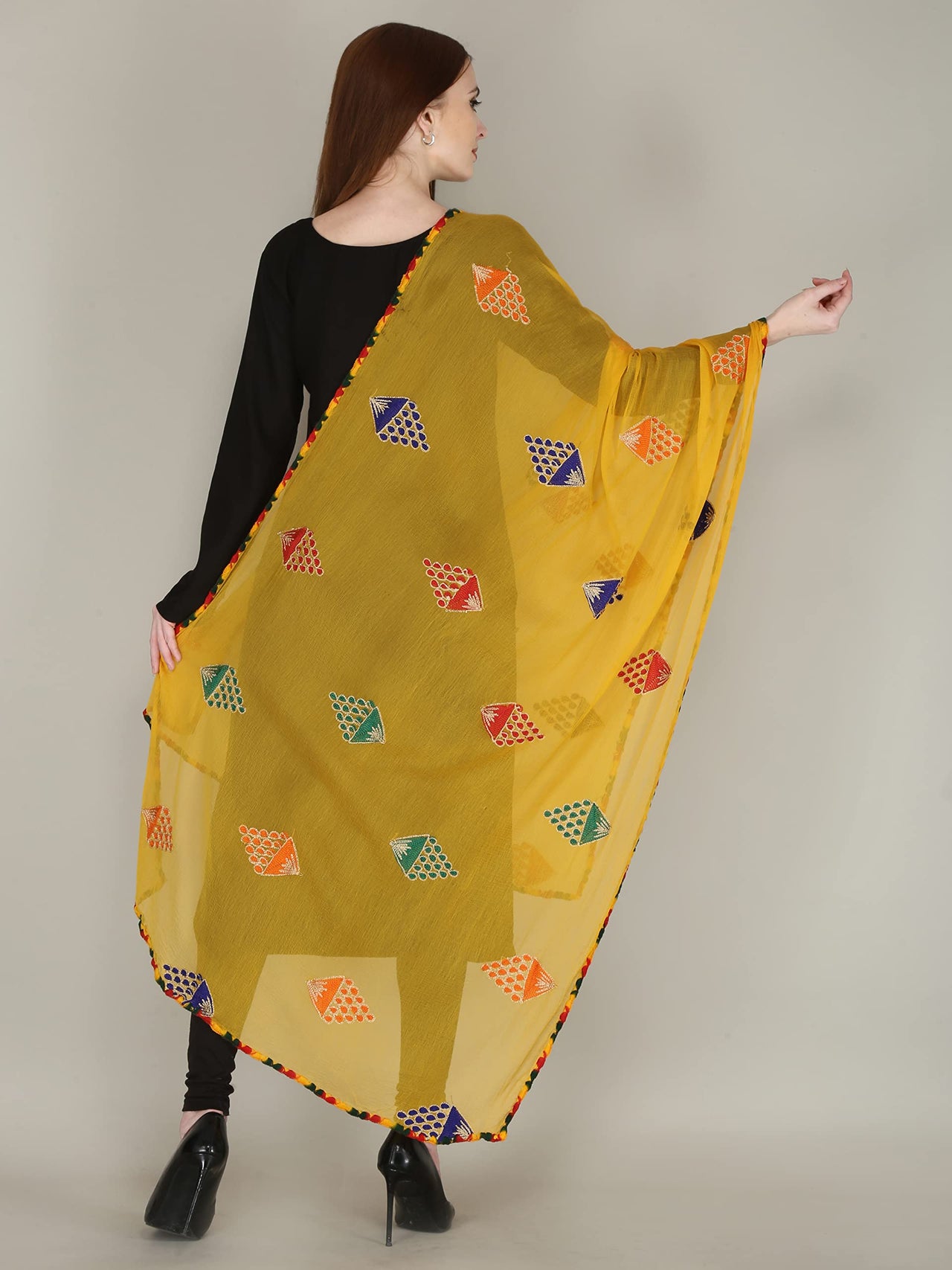 DIAMO Embroidered Chiffon Women's  Dupatta