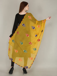 DIAMO Embroidered Chiffon Women's  Dupatta