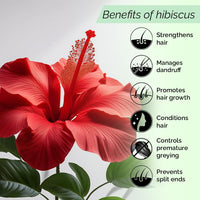 PYOURA Hibiscus Hair Mist Spray 100ml for Itchy Dry Scalp & Dandruff| Non Oily Heat protection Hair Mist Tonic Supports Hair Growth| Hair Serum Toner for Conditioning and Prevents Split Ends