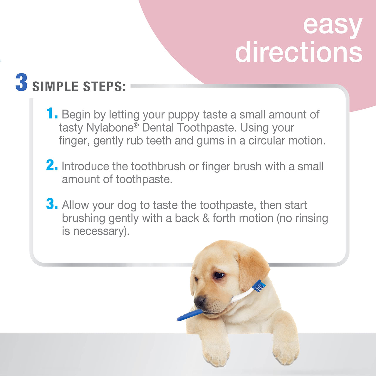 Nylabone Advanced Oral Care Puppy Dental Kit Puppy Original 3 Count 1 Count (Pack of 1)