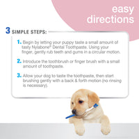 Nylabone Advanced Oral Care Puppy Dental Kit Puppy Original 3 Count 1 Count (Pack of 1)