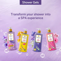 Yardley London| Shower Gel| Morning Dew| With Natural Oils Of Lily Of The Valley & Frangipani| No Parabens| No Silicones | 500ml