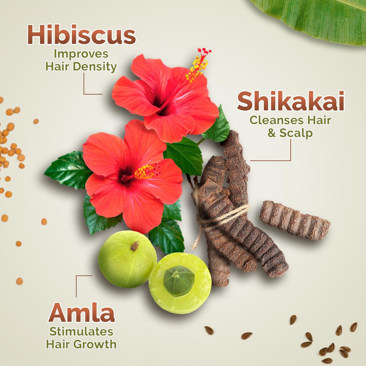 Mamaearth Kerala Thaali Shampoo with Hibiscus, Shikakai, Amla, Flax Seeds for Thick & Long Hair - 250 ml| Ready To Use Thali | Gently Cleanses | Adds Shine | 12 Potent Herbs | 100% Natural Herbs