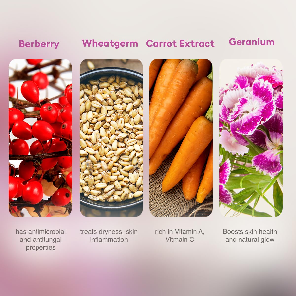 VLCC Skin Tightening Facial Kit (6 Facials) - 240g + 12ml | At Home Facial with Indian Berberry, Wheatgerm, Carrot Extracts & Geranium | Tightens & Firms Skin | Youthful Radiance