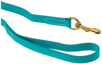 J&J Dog Supplies Biothane Dog Leash, 3/4