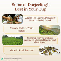 1868 by TATA Tea Darjeeling Rare Wonder Pyramid Tea Bags (15 Count), Pure Darjeeling Black Tea, Hand Rolled, Second Flush, Muscatel Flavour, From House of TATA