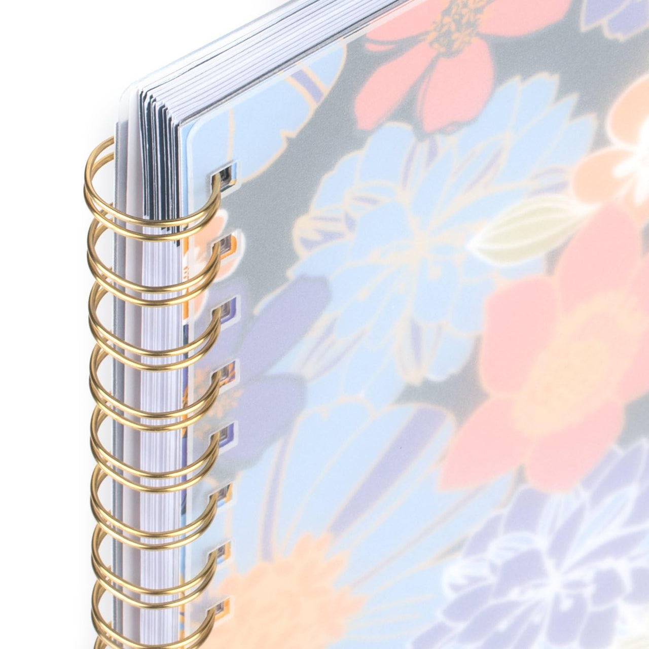 Cambridge Planner 2024-2025 Academic, Weekly & Monthly, 8-1/2" x 11", Large, Monthly Tabs, Flexible Cover, Bridgette (1712-905A)