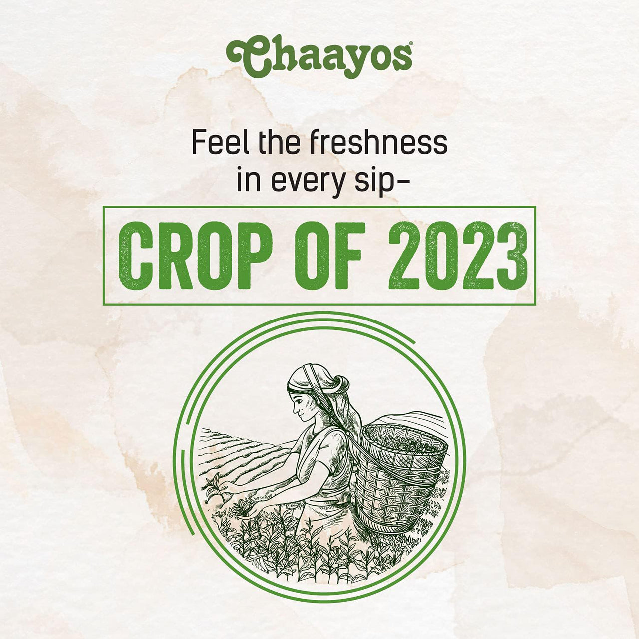 Chaayos Tea Gold|Strong Golden Assam, Granule Tea|Desi Chai|Premium Chai Patti|Crop Of 2024 (400 Gram)